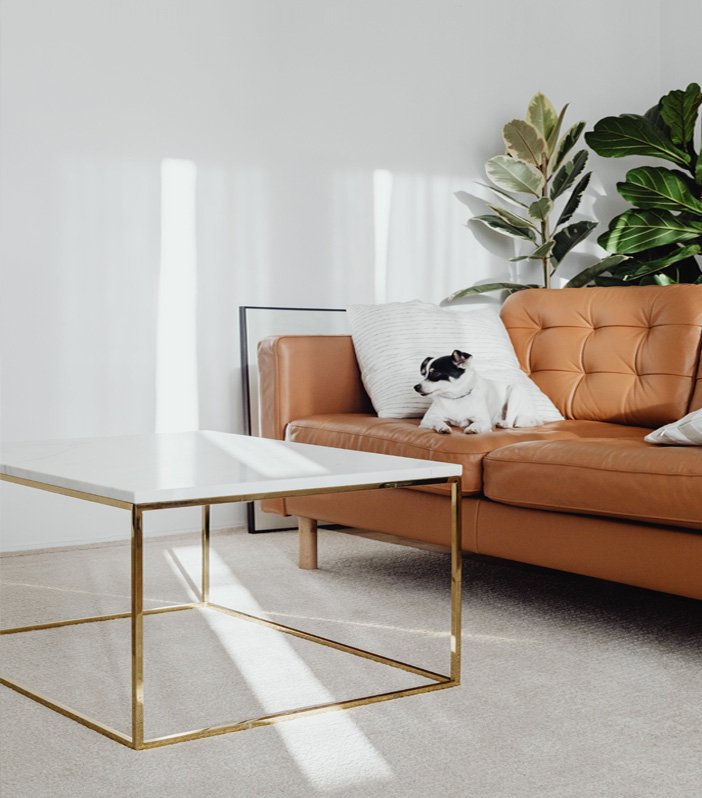 Interior Design of Living Room